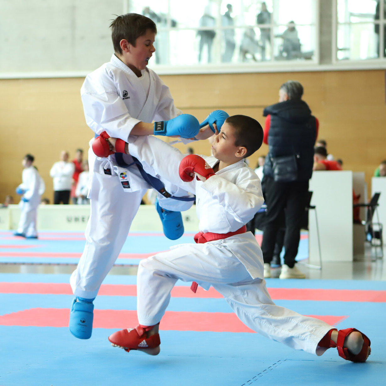 Colin McGuinness fighting at the Swiss Karate League in Wettingen 2024 Colin McGuinness fighting at the Swiss Karate League in Wettingen 2024