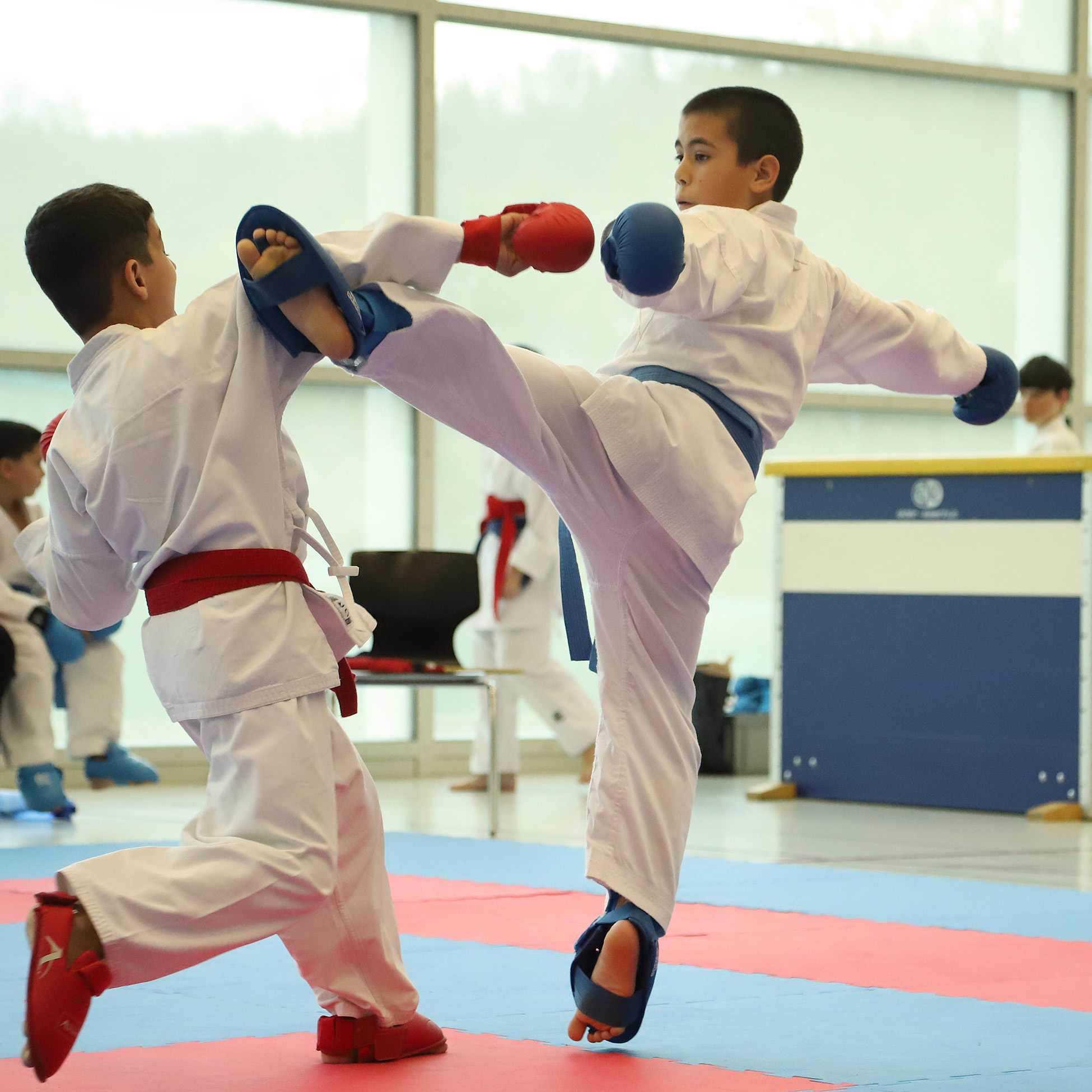 Colin McGuinness fighting at the Junior Karate League in Brugg/Windows 2024 Colin McGuinness fighting at the Junior Karate League in Brugg/Windows 2024