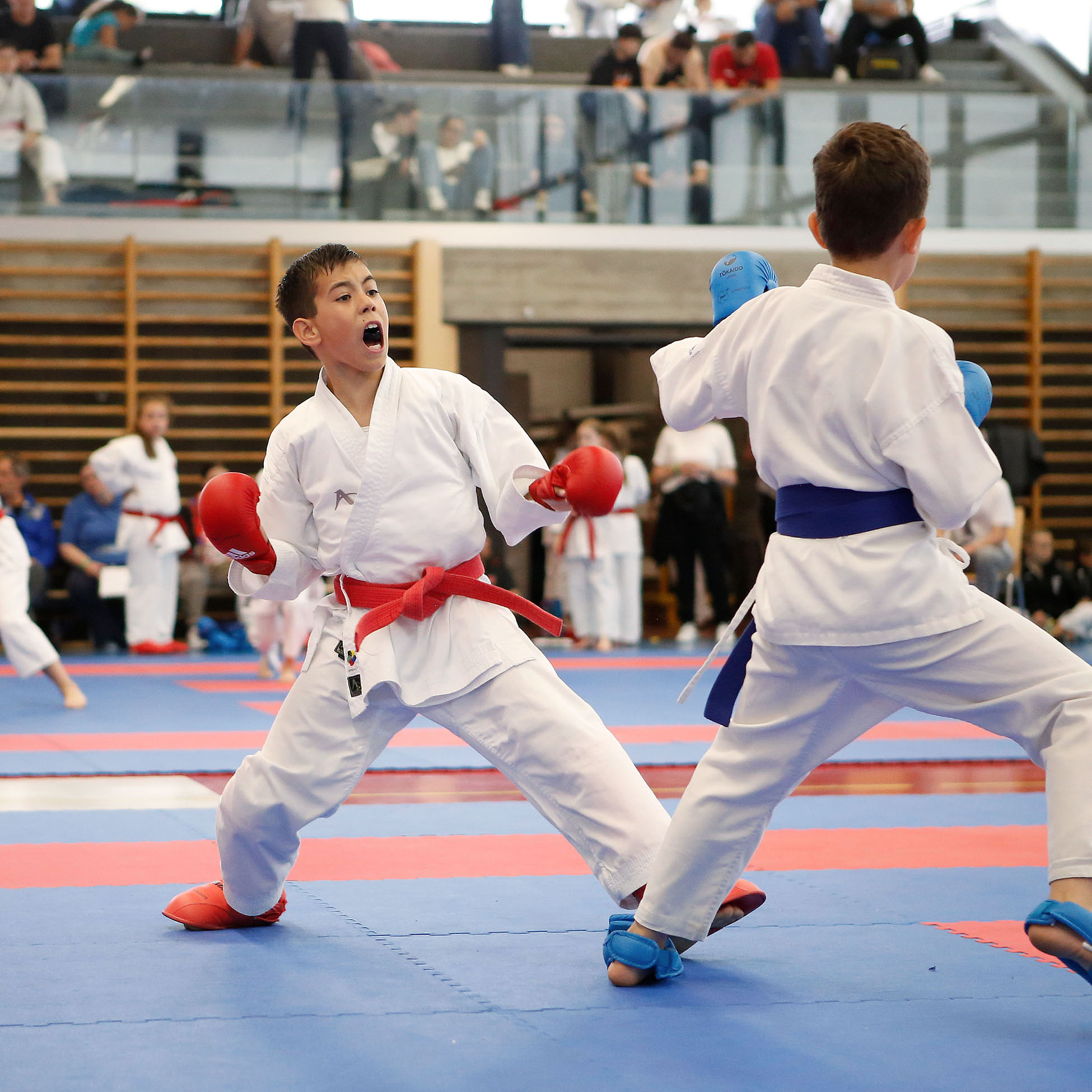 Colin McGuinness fighting at the Junior Karate League in Liestal 2025 Karate Kumite: Colin McGuinness fighting at the Junior Karate League in Liestal 2025