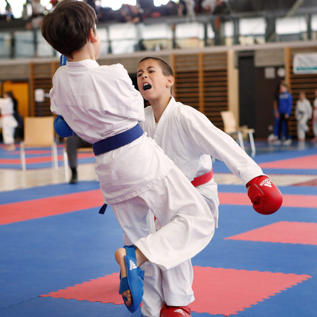 Colin McGuinness fighting at the Junior Karate League in Liestal 2024 Colin McGuinness fighting at the Junior Karate League in Liestal 2024