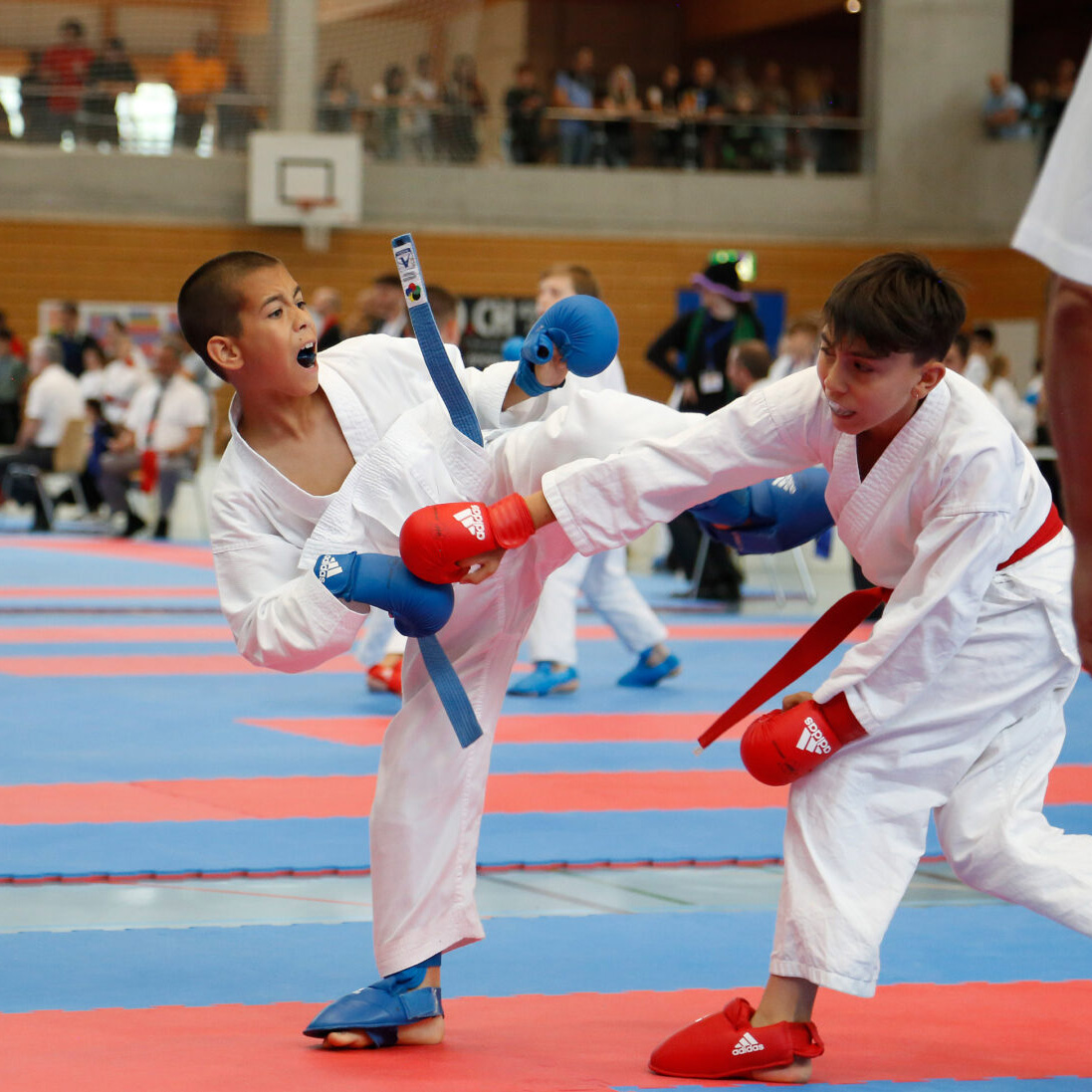 Colin McGuinness fighting at the Zürcher Kantonalmeisterschaft 2024 Colin McGuinness fighting at the Zürcher Kantonalmeisterschaft 2024